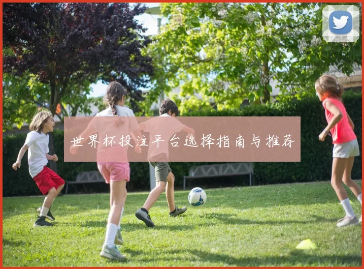 世界杯投注平台选择指南与推荐
