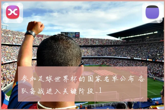参加足球世界杯的国家名单公布 各队备战进入关键阶段_1