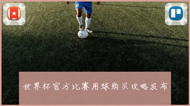 世界杯官方比赛用球购买攻略发布