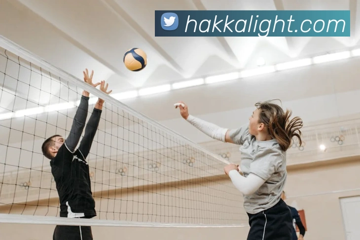 世界杯开户平台平台生态图