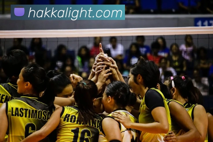 辅助工具 辅助工具